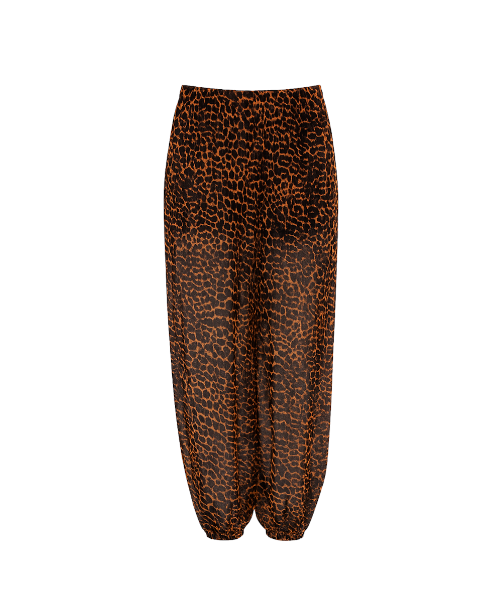 image_83bfc2dd-f182-4577-b883-c65e7dd8476f